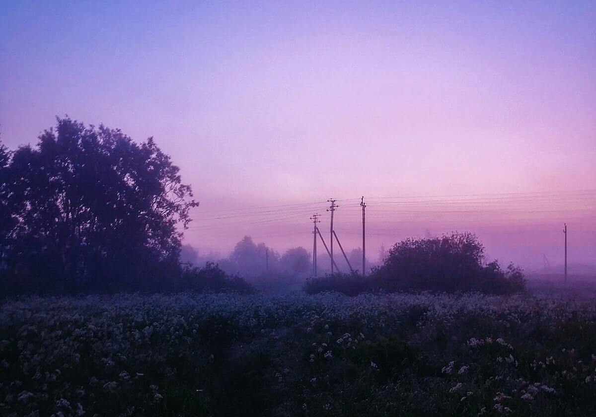 世界杯手机观看-在水晶宫球员和裁判争论判点时，B费派梅努去偷亨德森手上的球